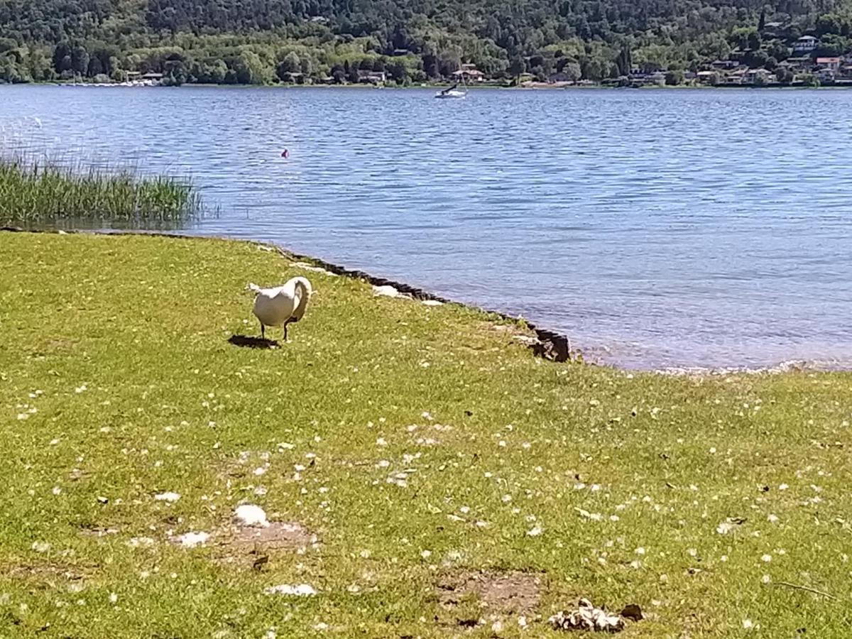 Ritratto Sul Lago Dormelletto Exterior foto