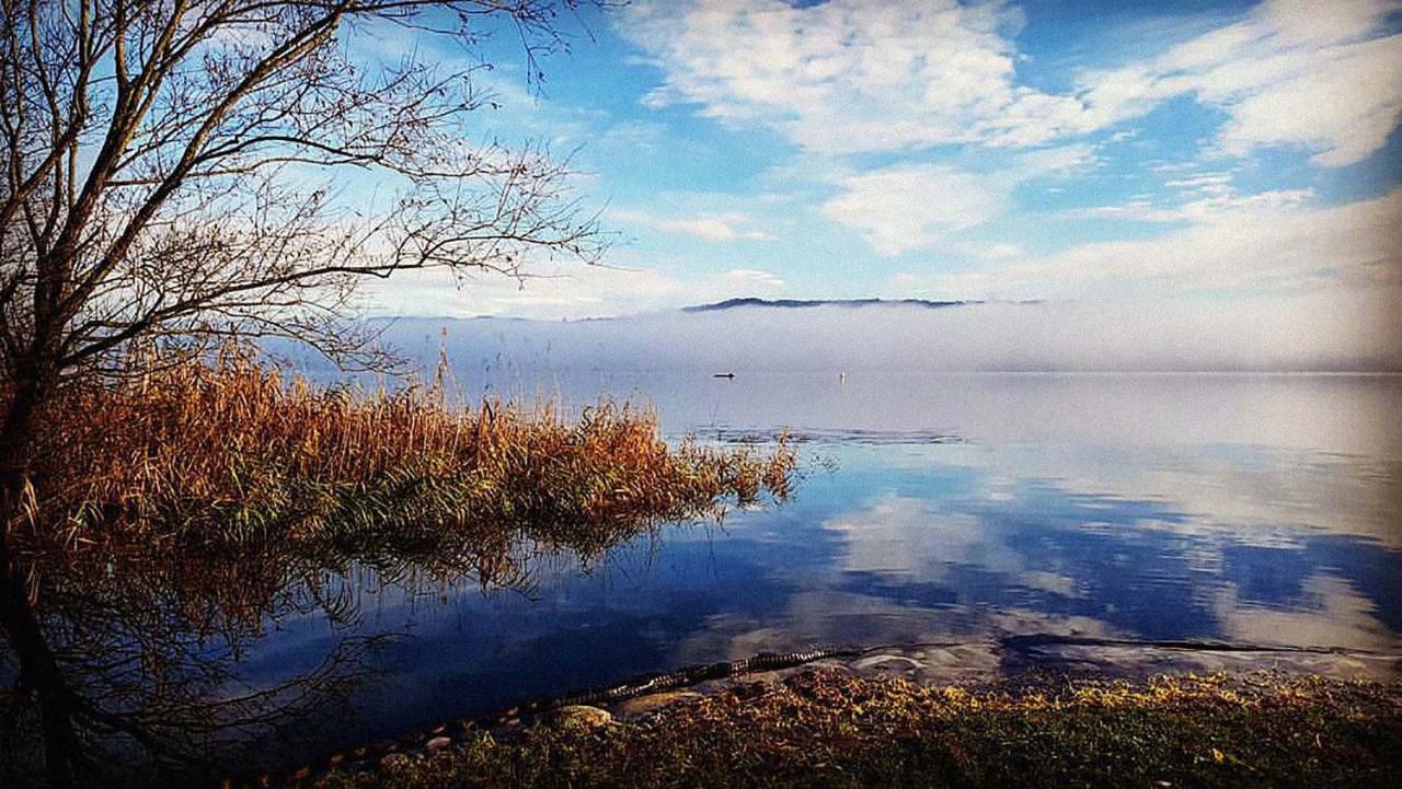 Ritratto Sul Lago B&B Dormelletto Exterior foto